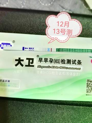 journal_insert_pic_1678868427