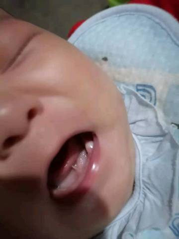 journal_insert_pic_1678677825