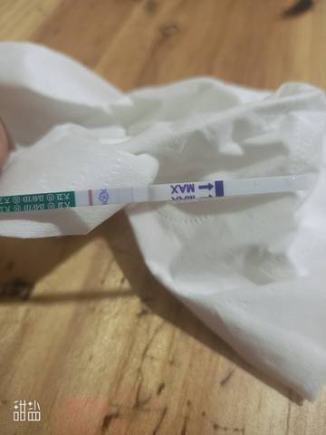 journal_insert_pic_1677510277