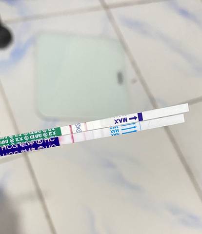 journal_insert_pic_1681783427