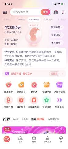 journal_insert_pic_1677988443