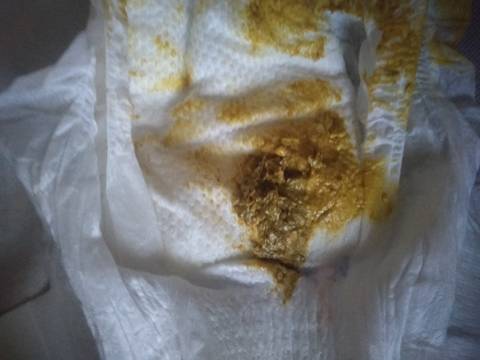 journal_insert_pic_1674587577