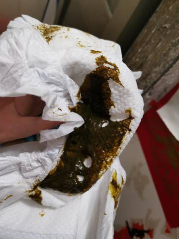 journal_insert_pic_1690154038