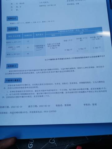 journal_insert_pic_1719645330