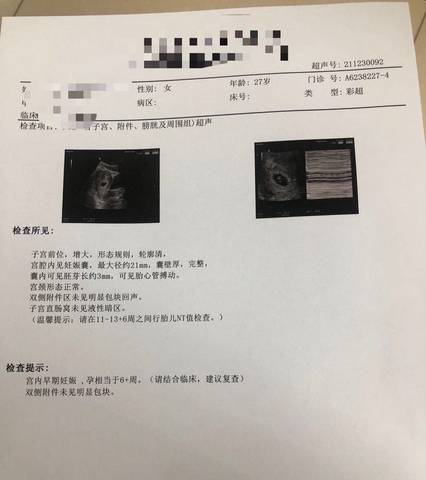 journal_insert_pic_1689010451