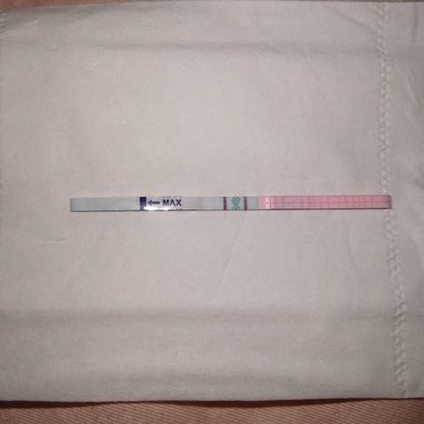 journal_insert_pic_1674096424