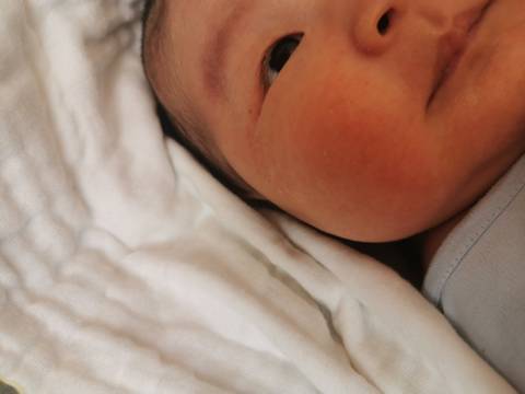 journal_insert_pic_1740872991