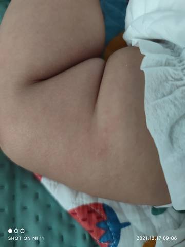 journal_insert_pic_1681356353