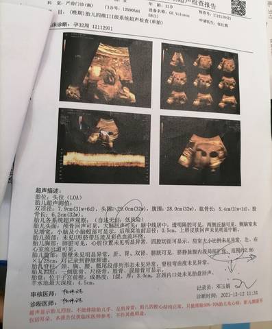 journal_insert_pic_1686974340