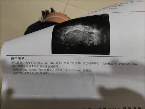 journal_insert_pic_1685351645