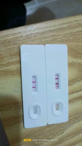 journal_insert_pic_1680080105