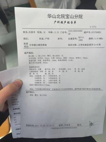 journal_insert_pic_1689142006