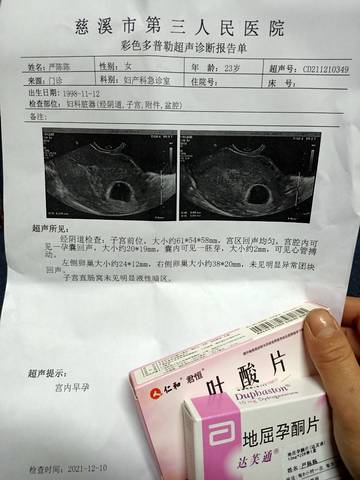 journal_insert_pic_1677735400