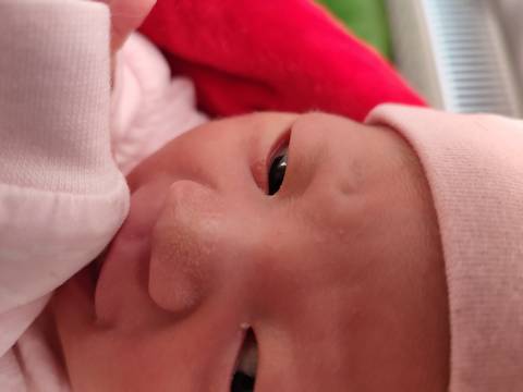 journal_insert_pic_1685191530