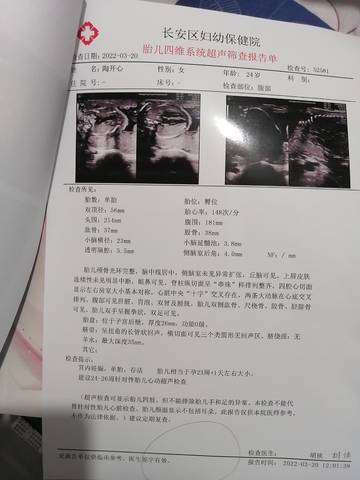 journal_insert_pic_1740964733