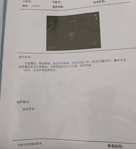 journal_insert_pic_1741091314