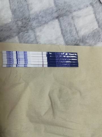 journal_insert_pic_1683163024