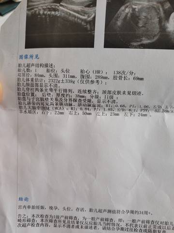 journal_insert_pic_1689019155