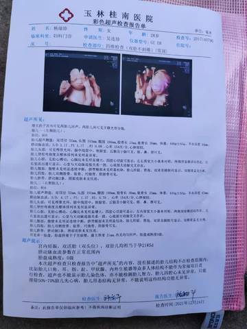 journal_insert_pic_1685488597