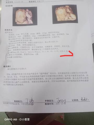 journal_insert_pic_1675373710