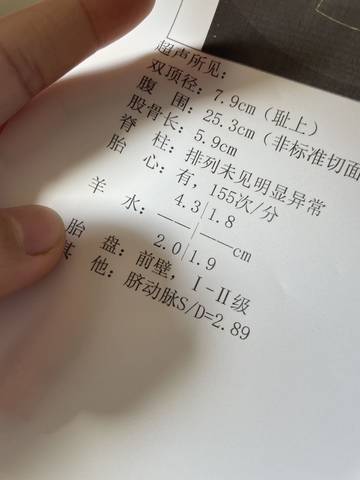 journal_insert_pic_1689444560