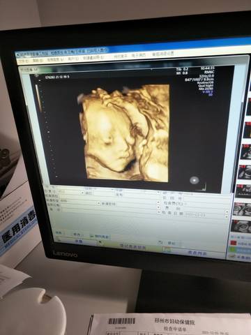 journal_insert_pic_1684060684