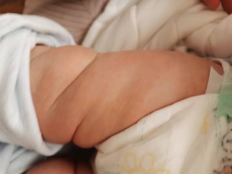 journal_insert_pic_1679533354