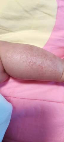 journal_insert_pic_1674417508