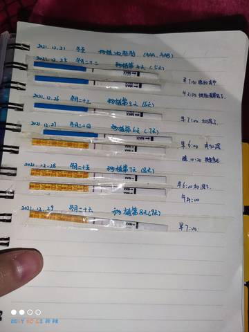 journal_insert_pic_1688124412