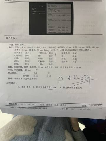 journal_insert_pic_1685153866