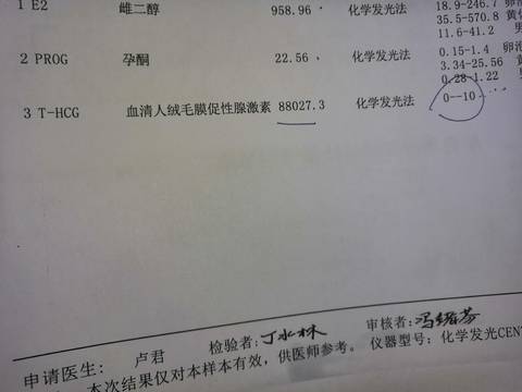 journal_insert_pic_1681555595