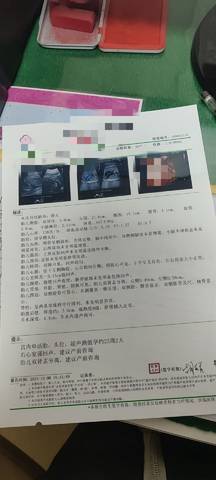 journal_insert_pic_1675951384