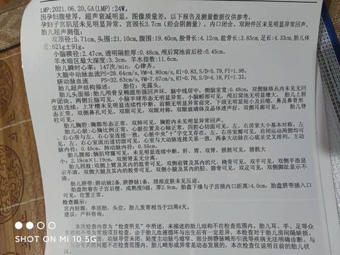 journal_insert_pic_1674469587