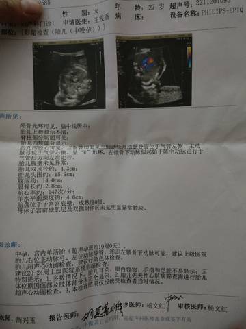 journal_insert_pic_1681650909