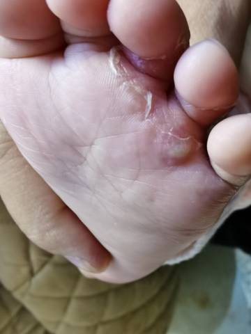 journal_insert_pic_1676531338