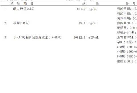 journal_insert_pic_1689010468