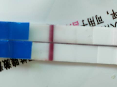 journal_insert_pic_1679264519