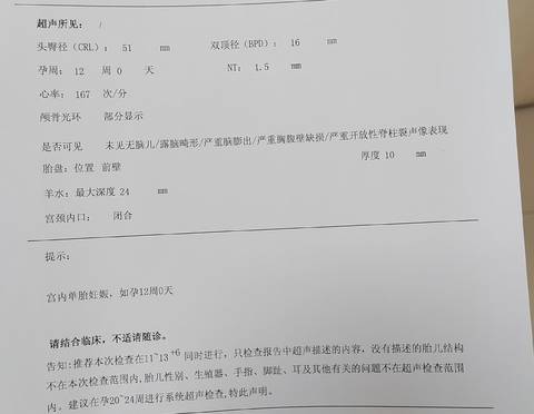 journal_insert_pic_1688384248