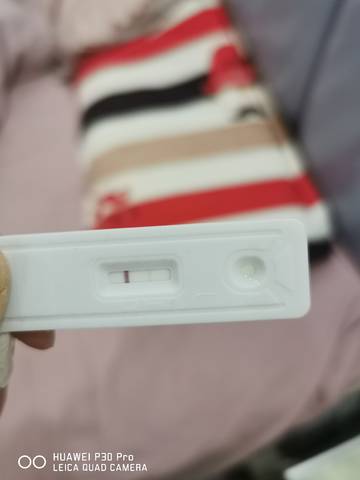 journal_insert_pic_1682563620