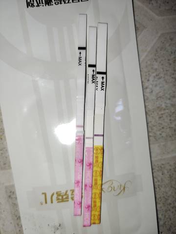 journal_insert_pic_1688967892