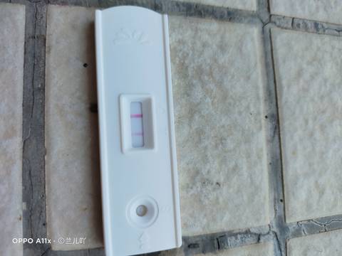 journal_insert_pic_1681320754