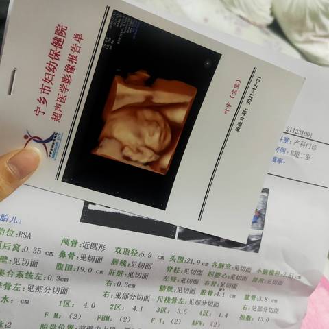 journal_insert_pic_1689514367