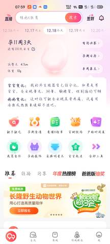 journal_insert_pic_1681861812