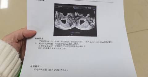 journal_insert_pic_1687598898