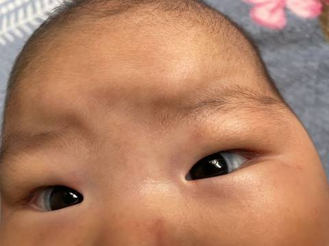 journal_insert_pic_1676725307