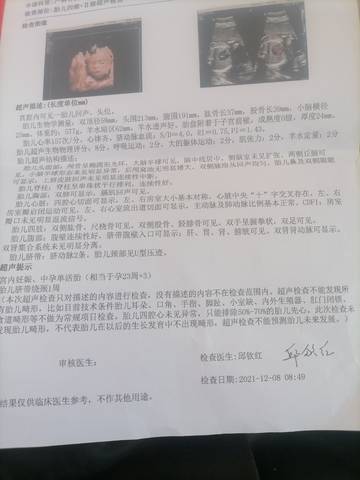 journal_insert_pic_1676020657