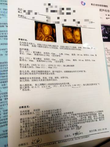 journal_insert_pic_1688639277