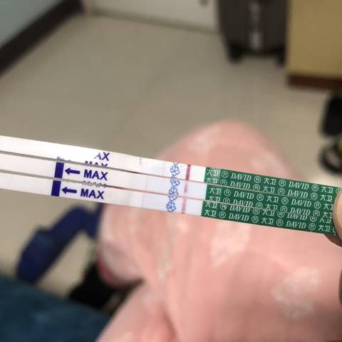 journal_insert_pic_1690413876