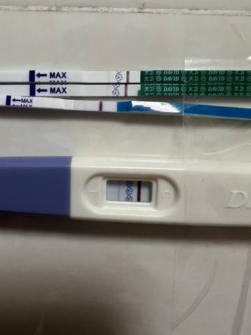 journal_insert_pic_1683488282