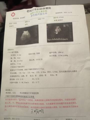 journal_insert_pic_1689430773